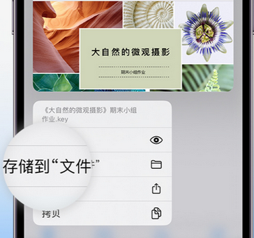 新城apple维修中心分享iPhone文件应用中存储和找到下载文件