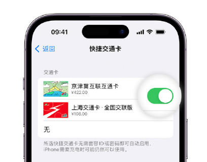 新城apple维修点分享iPhone上更换Apple Pay快捷交通卡手绘卡面 