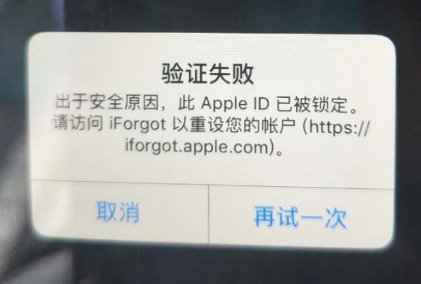 新城iPhone维修分享iPhone上正常登录或使用AppleID怎么办 