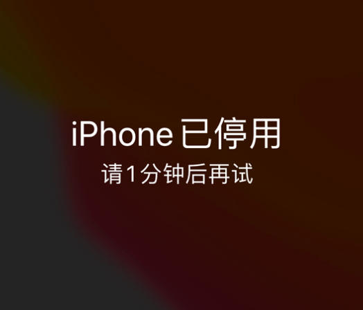 新城苹果手机维修分享:iPhone 显示“不可用”或“已停用”怎么办？还能保留数据吗？ 