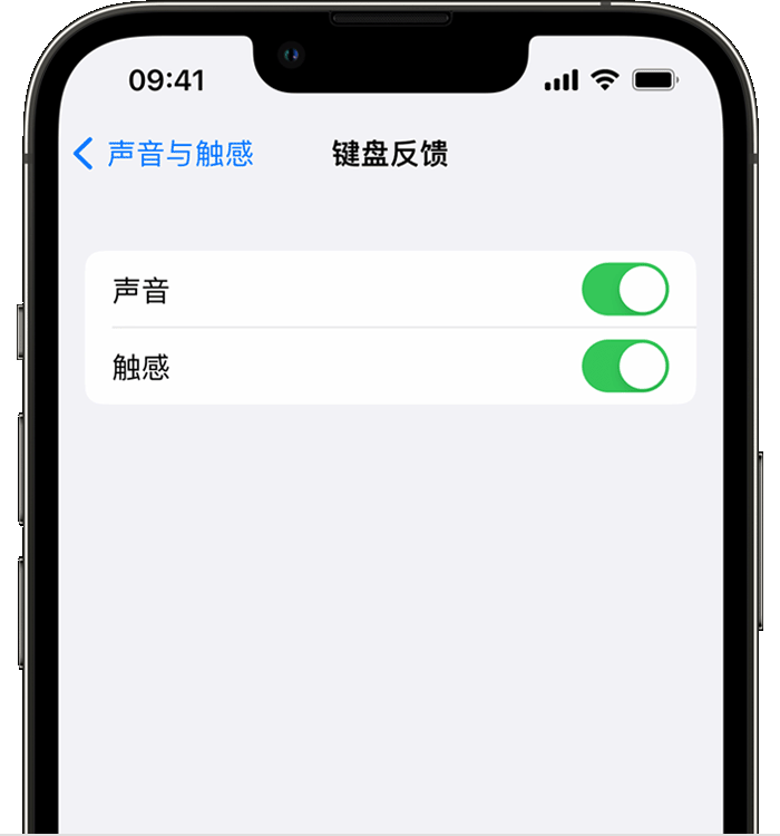 新城苹果14维修店分享如何在 iPhone 14 机型中使用触感键盘 