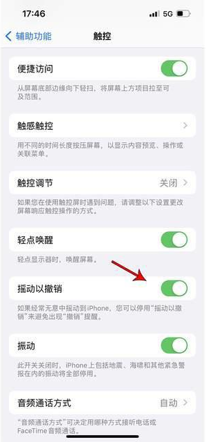 新城苹果手机维修分享iPhone手机如何设置摇一摇删除文字 