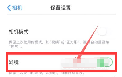 新城苹果13维修分享iPhone13拍照有绿点是怎么回事 
