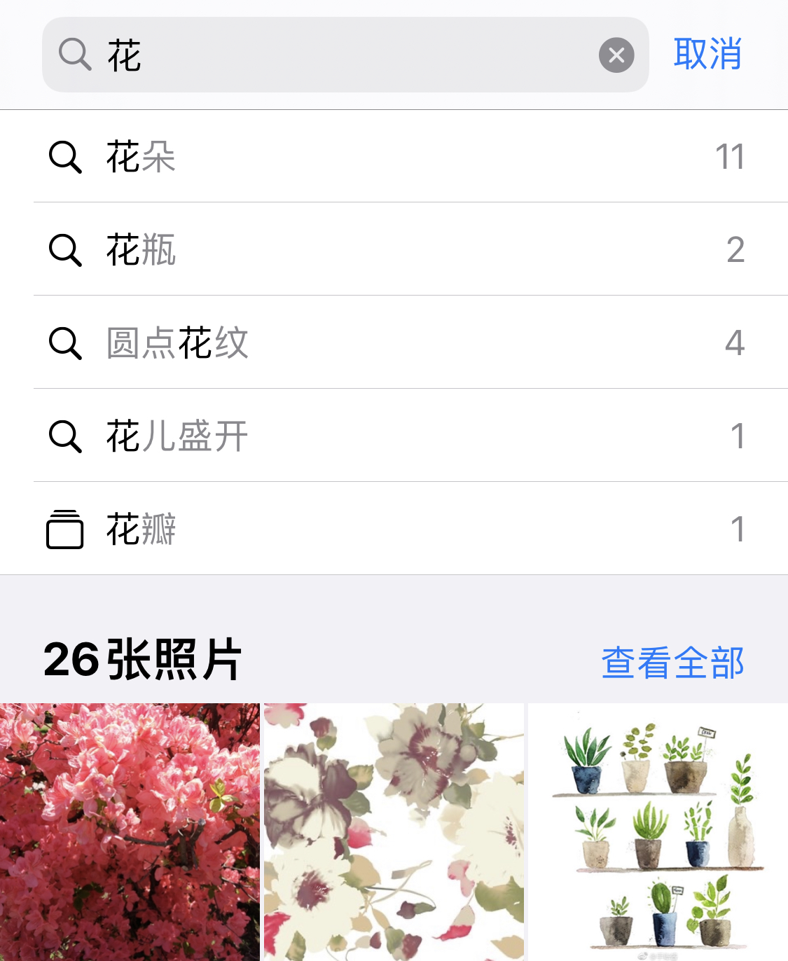 新城苹果手机维修分享iPhone 小技巧 