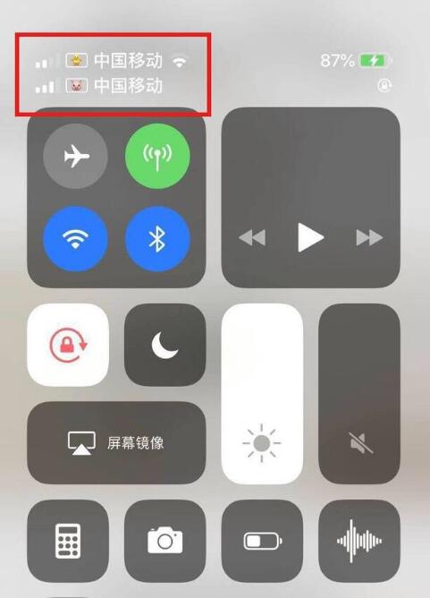 新城苹果手机维修分享为 iPhone 12 双卡设置标签 